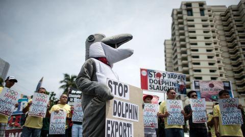 Activists hold a demonstration in front of the Japanese Embassy in Manila in 2016 to protest the start of the dolphin hunting season in Japan. 