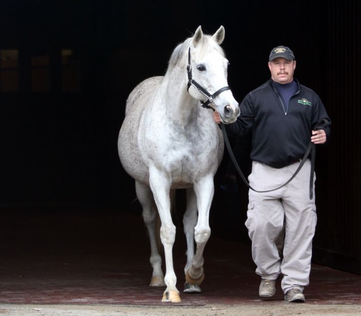 According to Keeneland, it has sold more graded stakes winners at the September sale than all other North American sales companies combined.