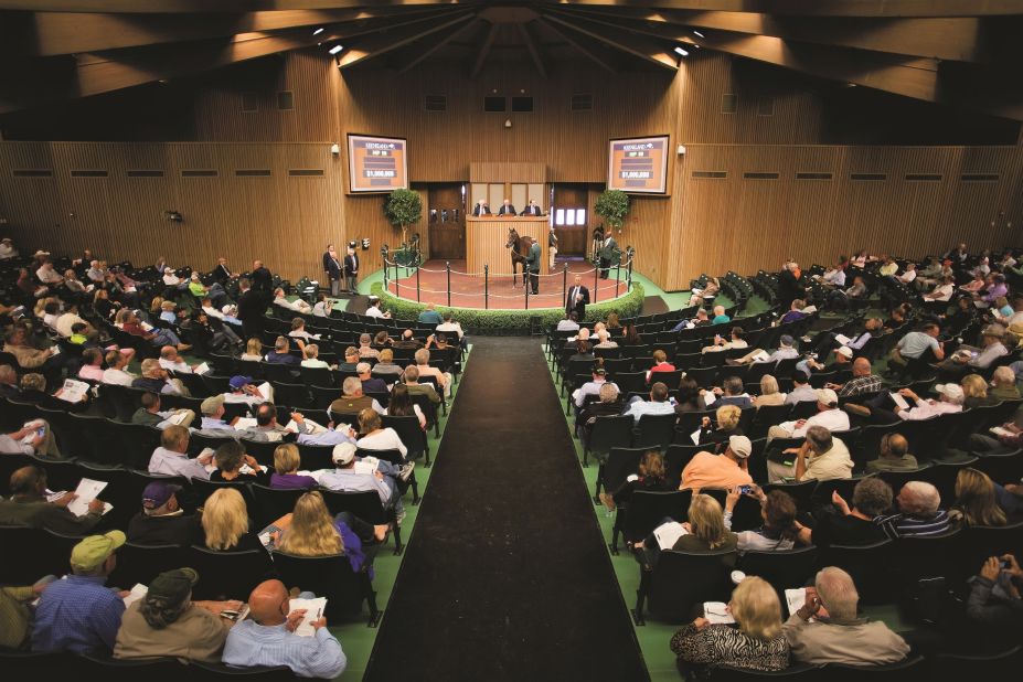 Each year Keeneland hosts three sales. Its two signature sales are the September Yearling Sale and the November Breeding Stock Sale. In January it also holds an All Ages Sale.