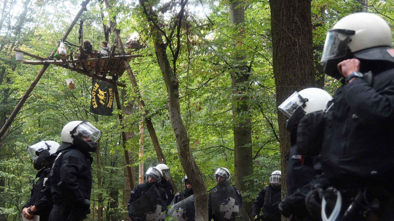 Activists sit on a platform in Hambach Forest as police officers arrive to begin clearance operations.