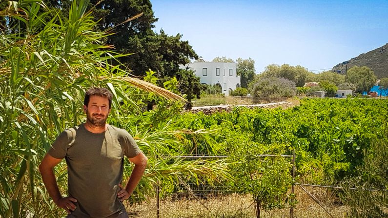<strong>Almost ideal: </strong>"The soil is fertile, there's water in the ground, but the terroir is not perfect for the vines," winemaker Dorian Amar says
