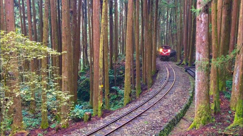 <strong>Alishan National Scenic Area: </strong>Once you've arrived at Alishan Station, you're inside the Alishan National Scenic Area. From here, the railway runs three shorter lines to Shenmu, Zhaoping and Chushan. 