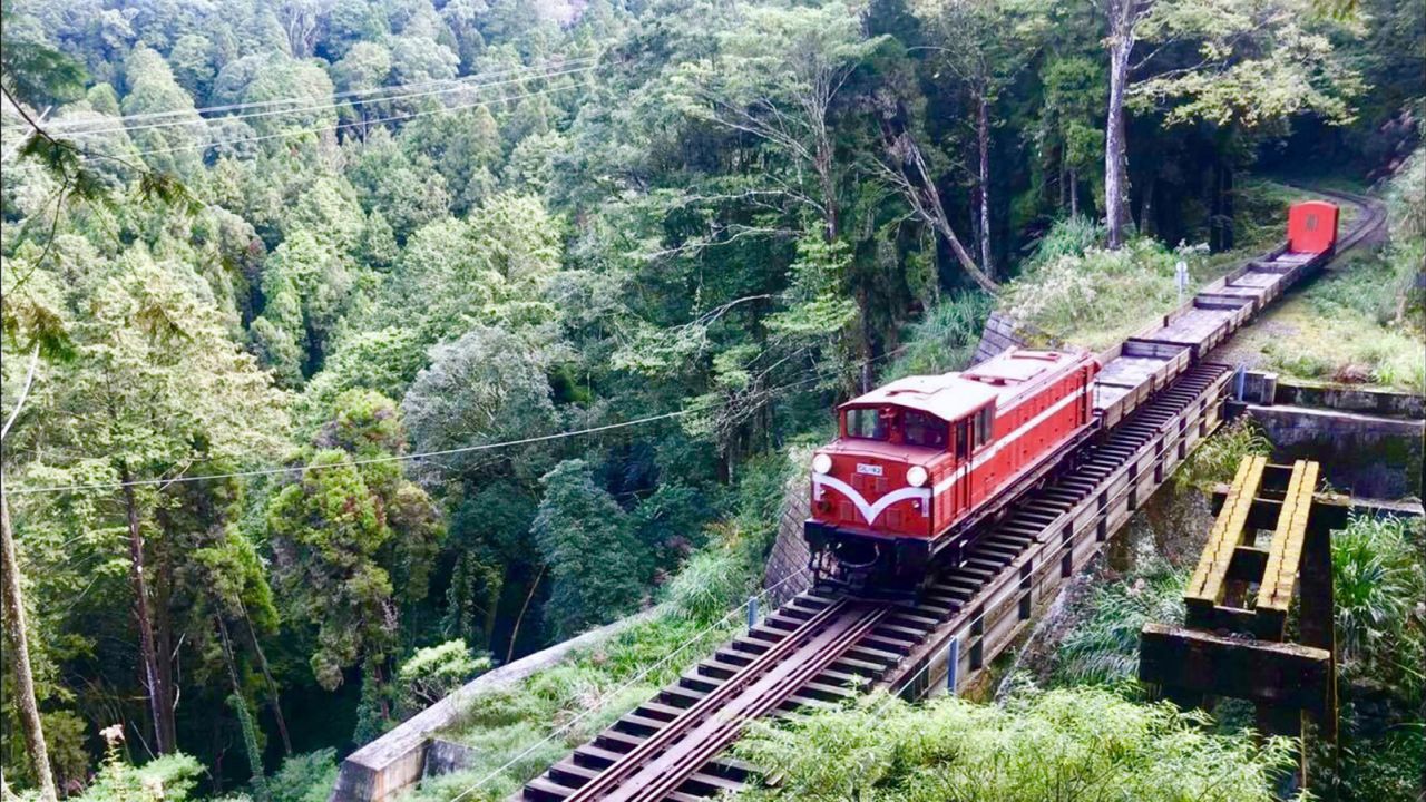 The railway was first built by the Japanese government to transport Taiwan cypress logs.