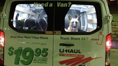 Meinhold's dogs on the rented truck