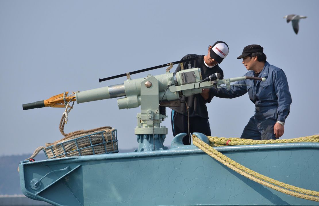 A whaler's crew check the ship's harpoon before departure at Ayukawa port in Ishinomaki City in 2014.
