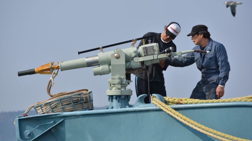 Crew of a whaling ship check a whaling gun or harpoon before departure at Ayukawa port in Ishinomaki City on April 26, 2014. A Japanese whaling fleet left port on April 26 under tight security in the first hunt since the UN's top court last month ordered Tokyo to stop killing whales in the Antarctic.    AFP PHOTO / KAZUHIRO NOGI (Photo by KAZUHIRO NOGI / AFP)        (Photo credit should read KAZUHIRO NOGI/AFP/Getty Images)