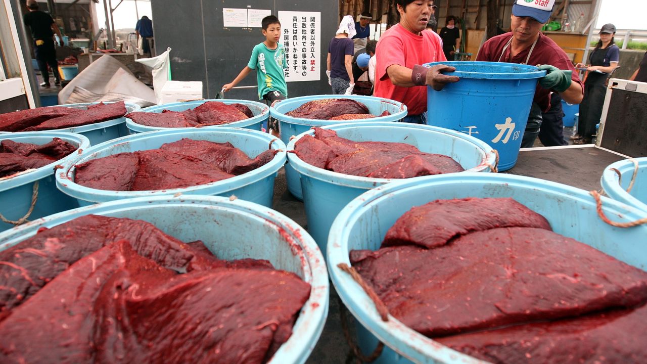 Workers carry containers full of whale meat cut from a Baird's Beaked Whale at Wada Port in Minamiboso, Chiba, Japan in 2009.