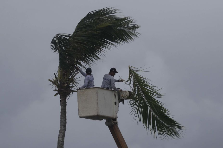Villagers from Aparri cut tree branches on September 14 in preparation for the massive storm.