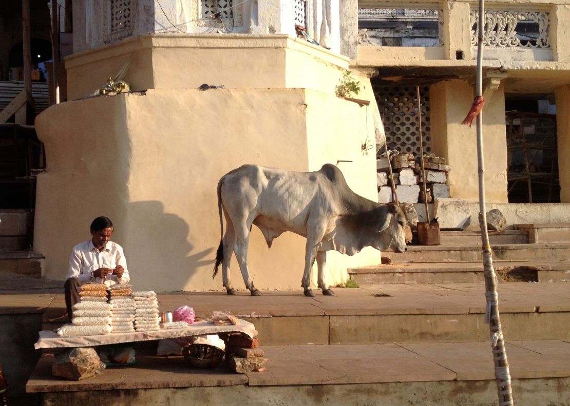 The author and her family also visited Pushkar in the northeastern Indian state of Rajasthan.