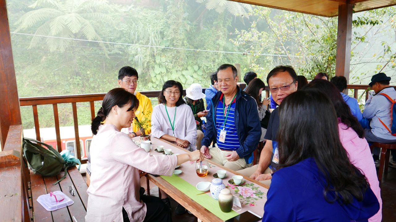 The Alishan tea-tasting session in a pavillion during the cruise tour.