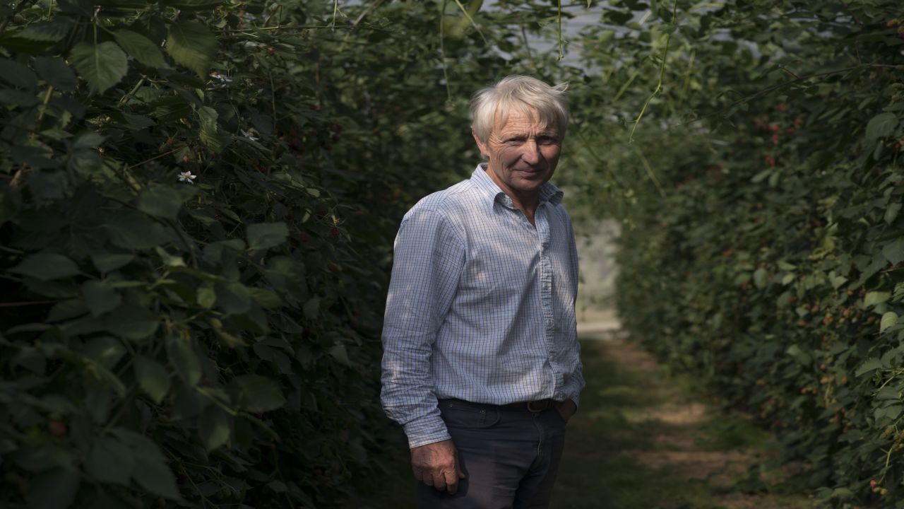 Robert Pascall relies on pickers from Romania and Bulgaria to harvest fruit on his farm.