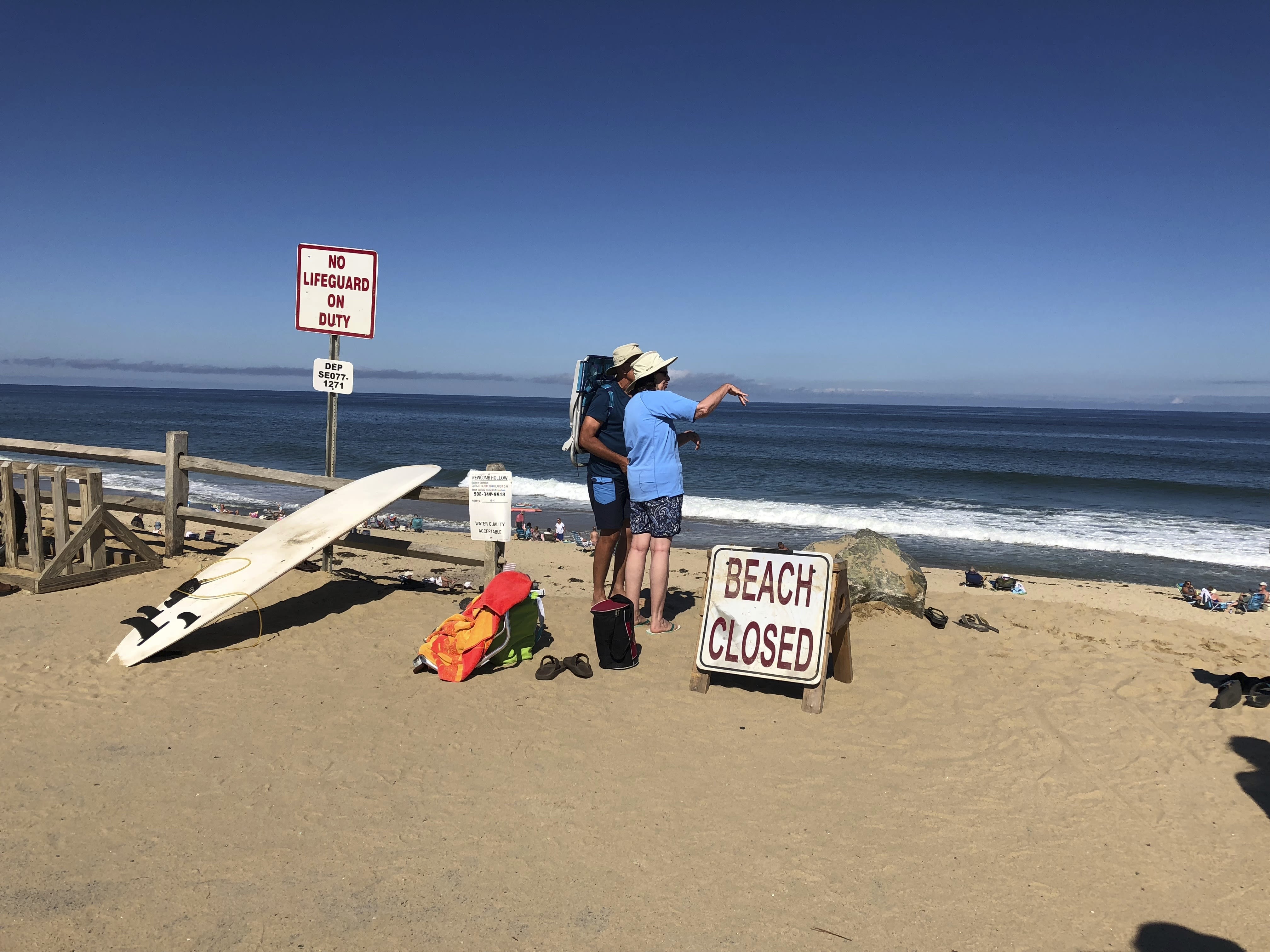 Shark attack history on the Cape and all along Massachusetts: More