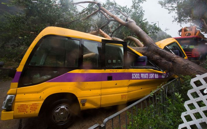 A tree sits after falling onto a school bus in Hong Kong.