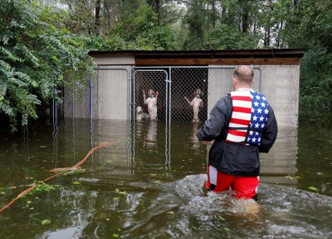 Panicked dogs left caged by their owner are rescued by volunteer Ryan Nichols in Leland, North Carolina, on September 16.