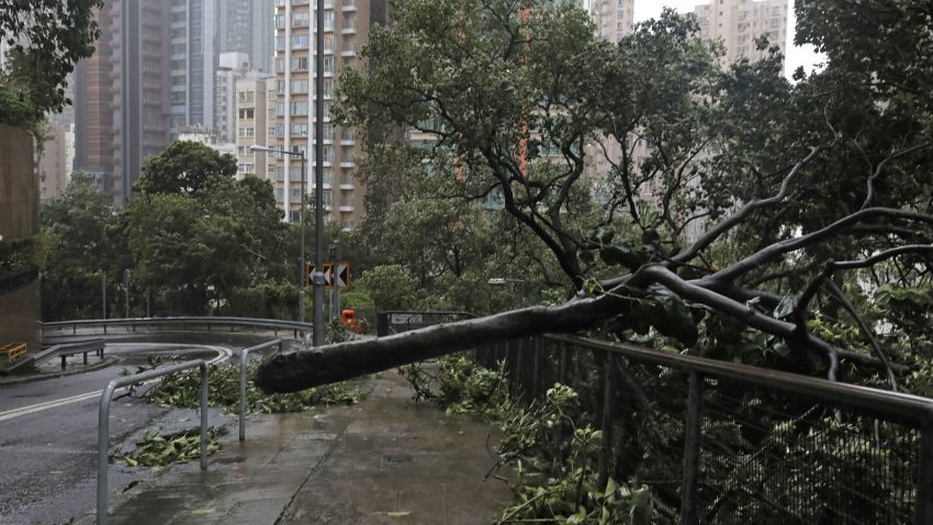 A fallen tree caused by Typhoon Mangkhut lies on a footpath in Hong Kong, Sunday, Sept. 16, 2018. Hong Kong and southern China hunkered down as strong winds and heavy rain from Typhoon Mangkhut lash the densely populated coast. The biggest storm of the year left at least 28 dead from landslides and drownings as it sliced through the northern Philippines. (AP Photo/Vincent Yu)