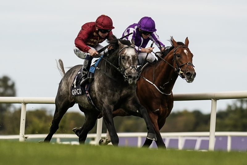 Roaring Lion claims victory at Irish Champion Stakes CNN