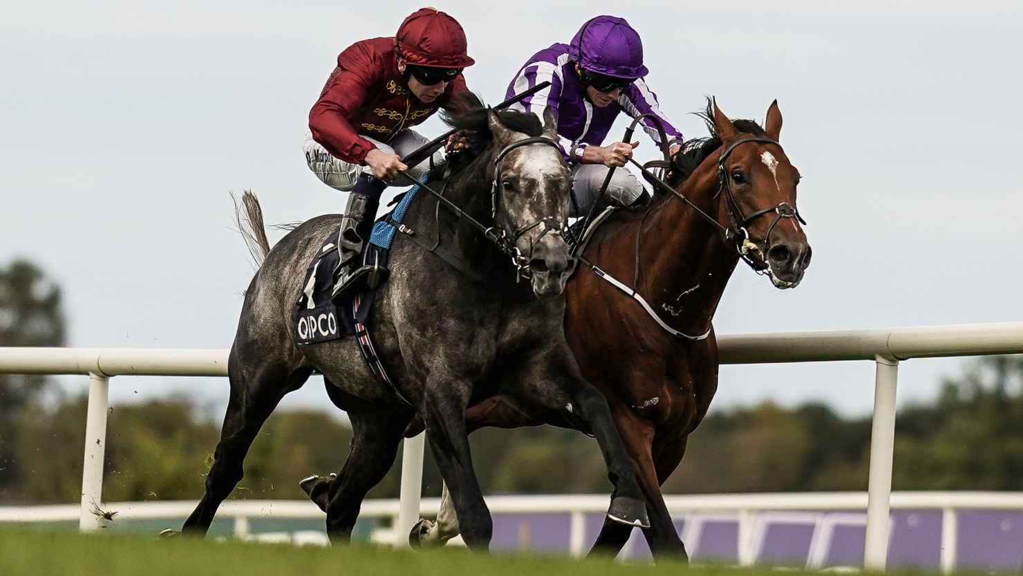 Roaring LIon (left) and Saxon Warrior (right) were neck-to-neck during the Irish Champion Stakes at Leopardstown on Saturday.