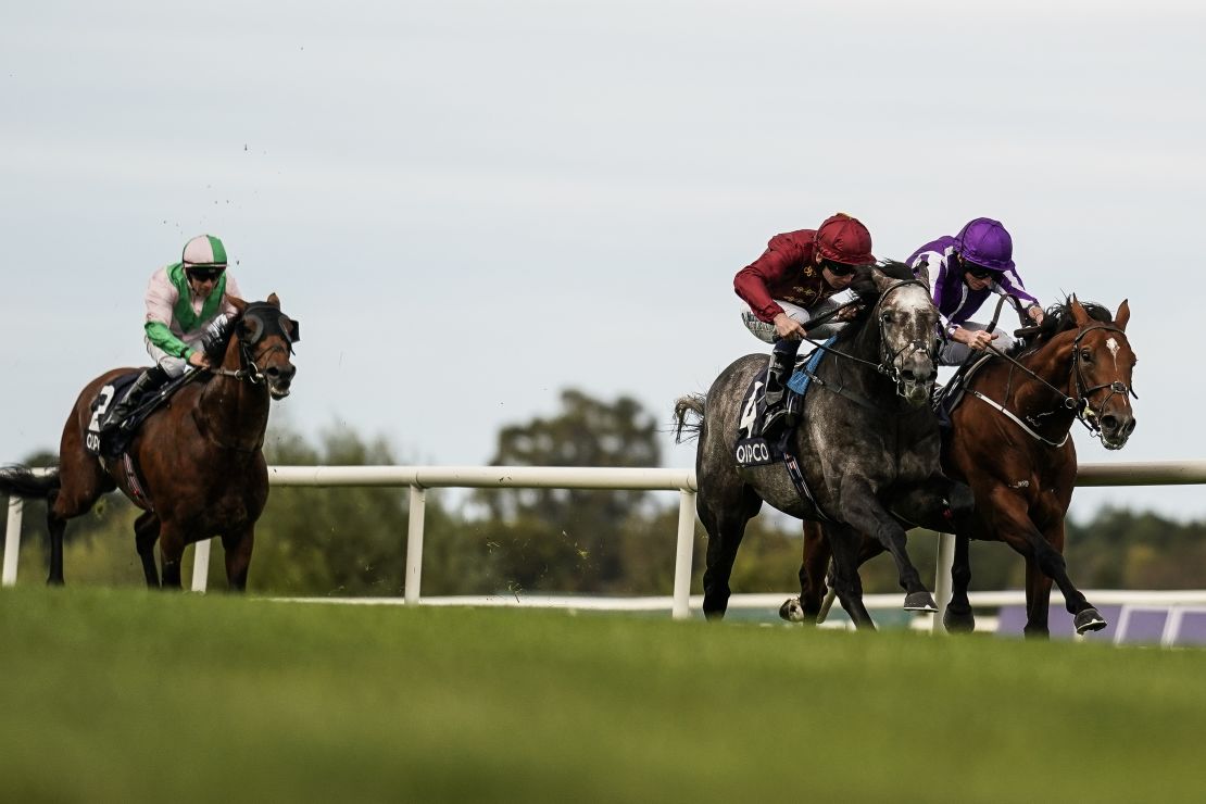 Saxon Warrior is to retire after badly damaging a tendon.
