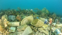 There are 150 million tons of plastic in our oceans, according to the World Economic Forum