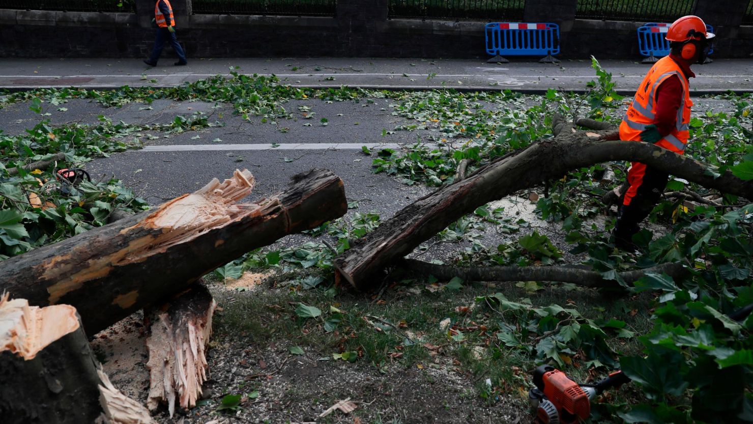 Workmen cut fallen trees in Dublin as Storm Ali moves across Ireland. 