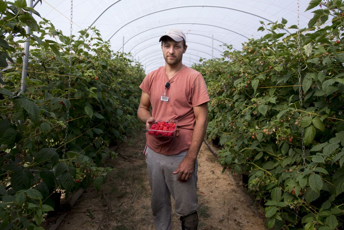 Picker Alin Florea, who's been coming to Clock House Farm for eight years, says this may be his last season.