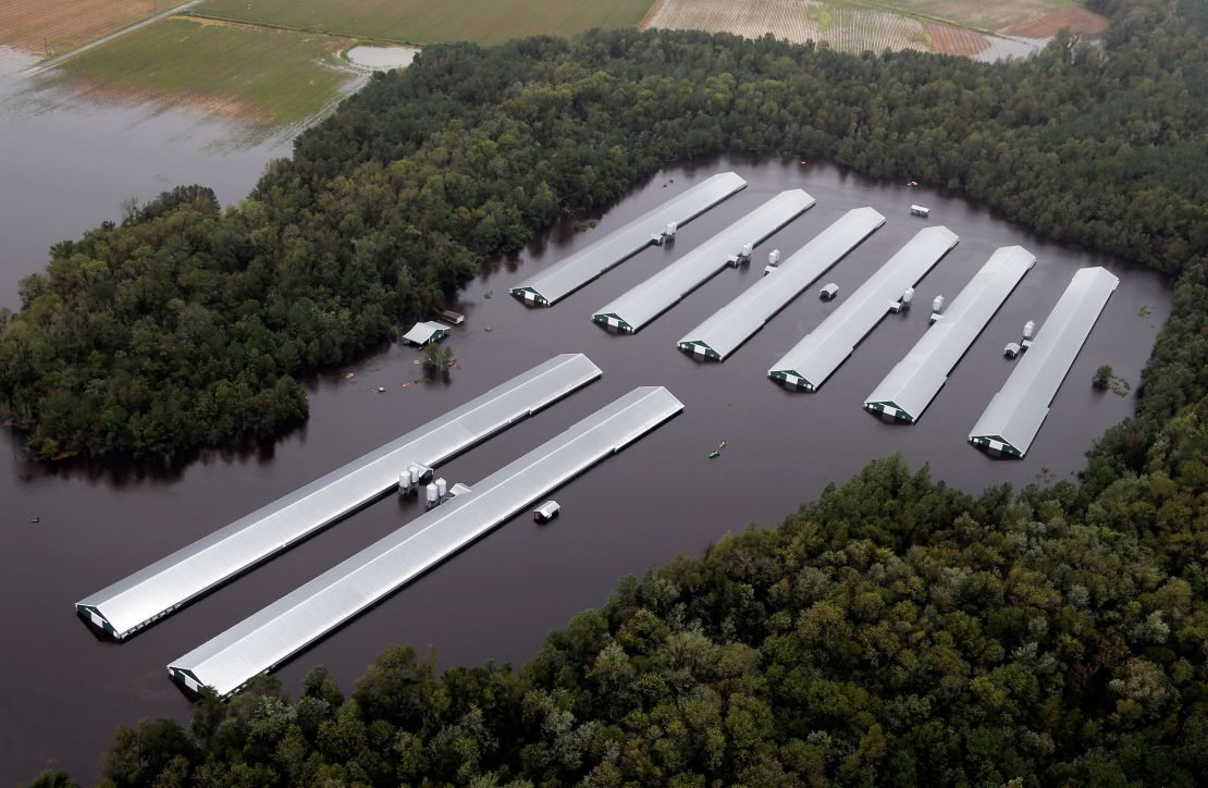 Chicken farm buildings are inundated with floodwater from Hurricane Florence near Trenton, North Carolina on Sunday.