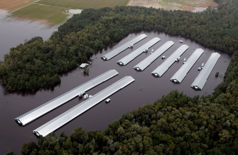 Chicken farm buildings are inundated with floodwaters near Trenton, North Carolina, on September 16.