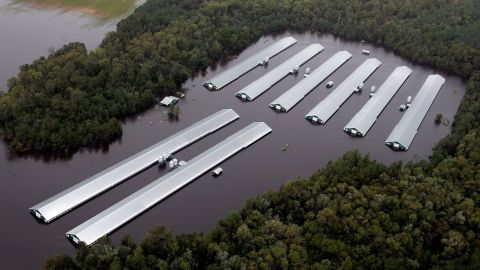 Chicken farm buildings are inundated with floodwater from Hurricane Florence near Trenton, North Carolina on Sunday.