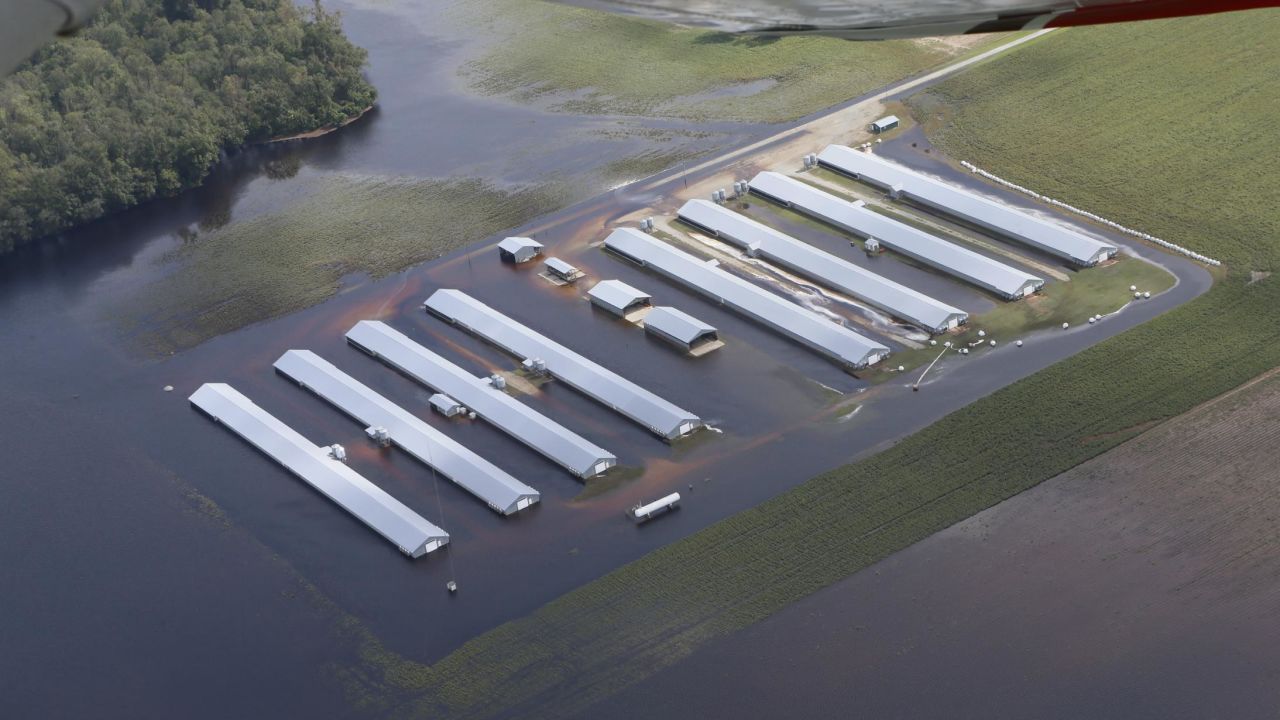 The Waterkeeper Alliance flew over flooded farms in North Carolina on Monday.