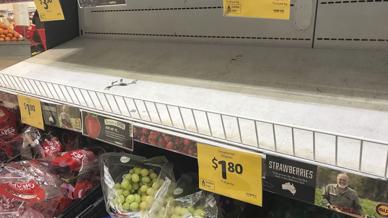 Empty shelves, normally stocked with strawberry punnets, are seen at a Coles Supermarket in Brisbane on September 14.