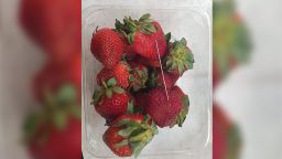 Queensland contaminated strawberries