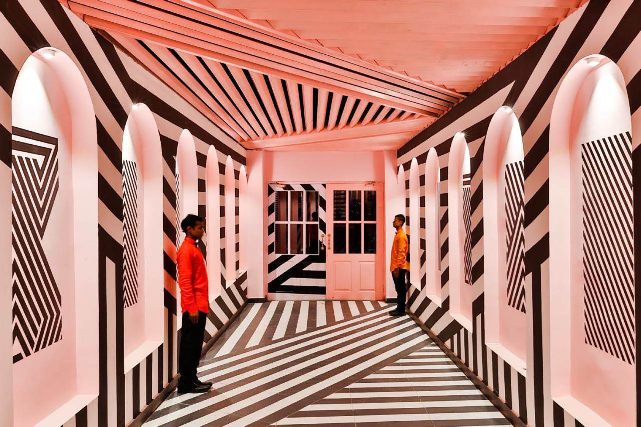 pink zebra kanpur