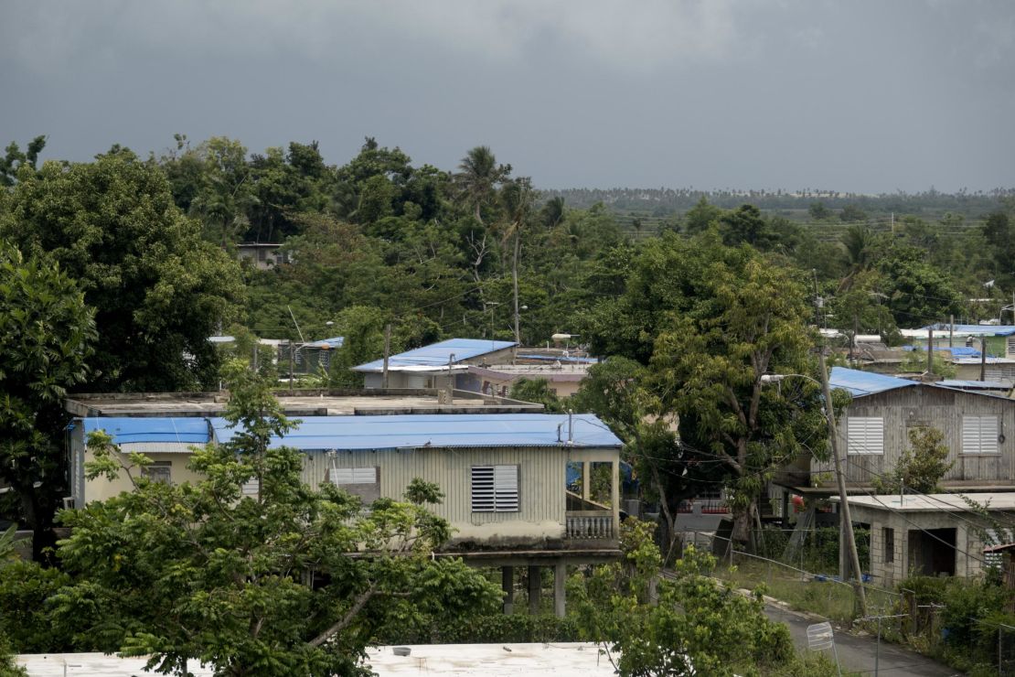 The ubiquitous blue tarps cover houses visible from the expressway in the town of Canóvanas this week.