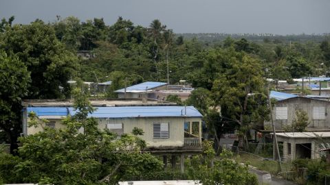 The ubiquitous blue tarps cover houses visible from the expressway in the town of Canóvanas this week.