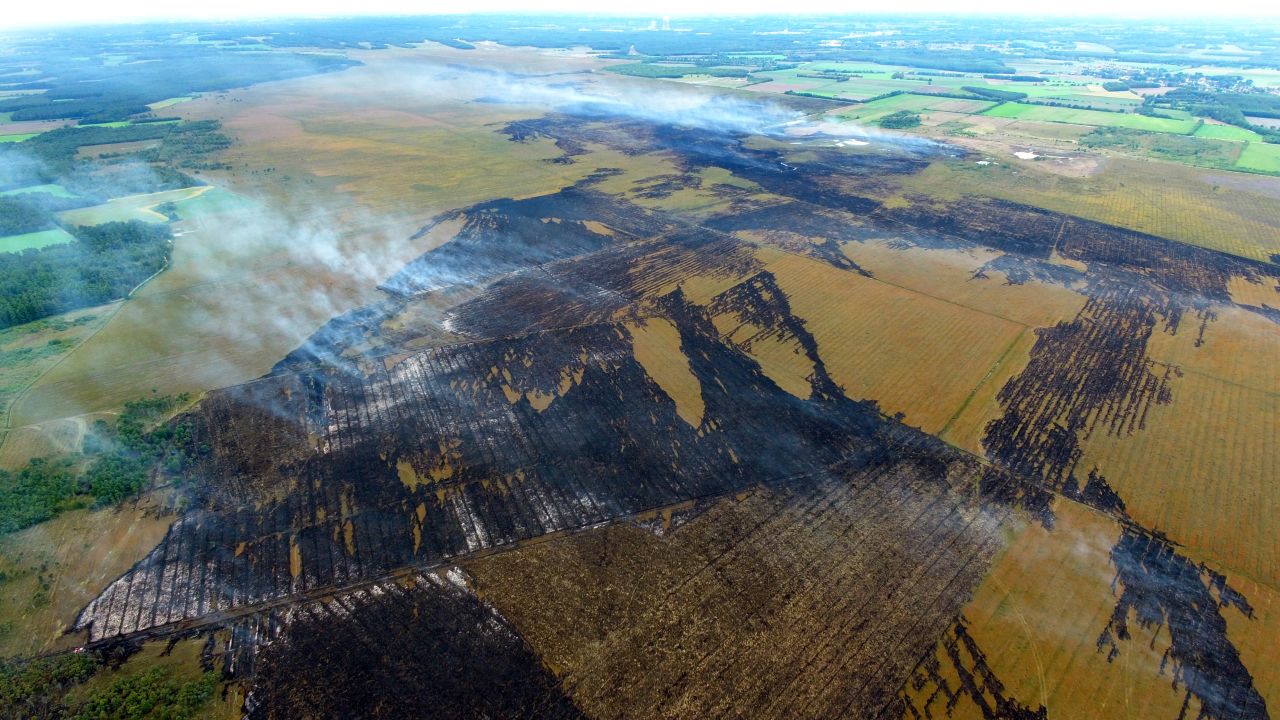 The area affected is around eight square kilometers, or 1,000 soccer fields.