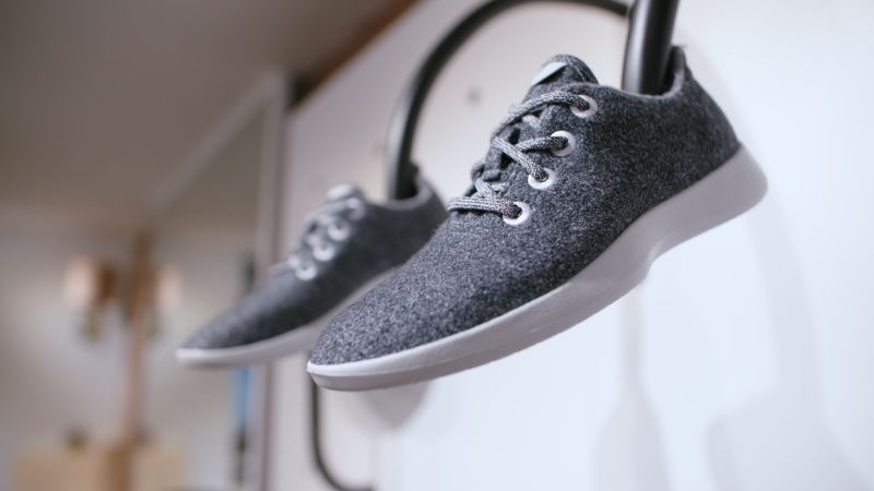 Allbirds founders Shoes hadn t kept up with modern living