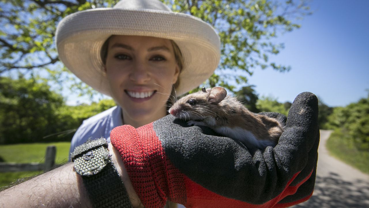 mission ahead mice lyme disease