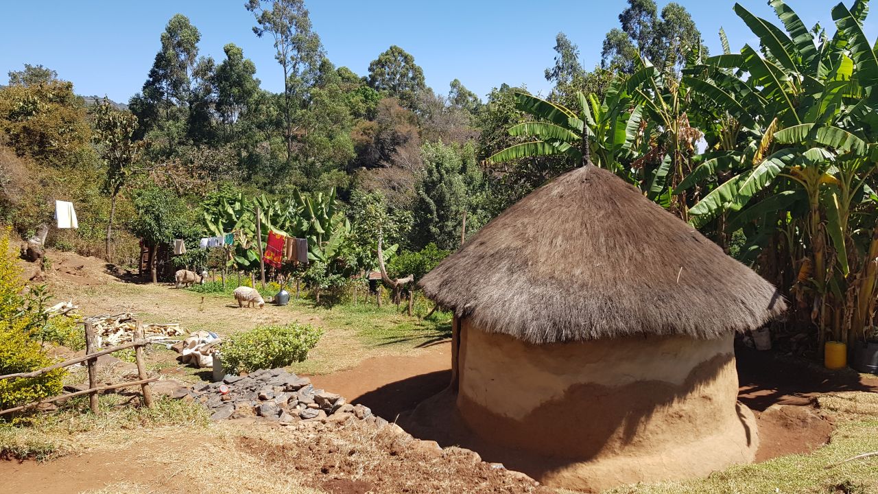 A rural homestead near Iten, western  Kenya.   