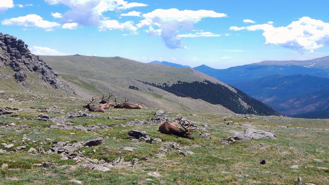 Sunny summer weather can turn dangerous quickly in Colorado's mountains. 