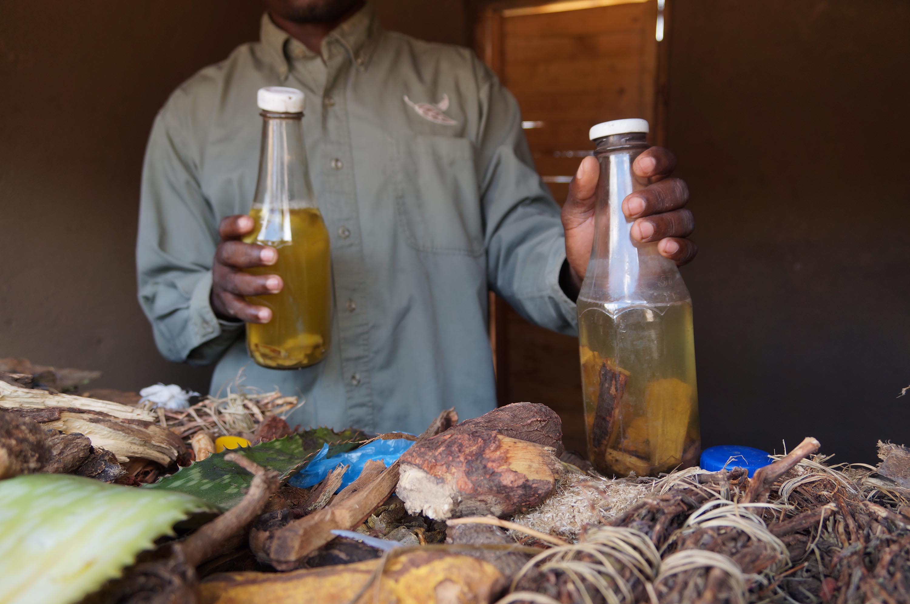 A traditional healer shows some of the abortion-inducing concoctions.