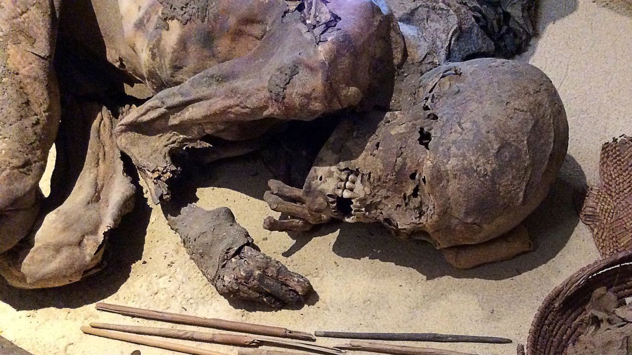 The mummy was stored in the Museo Egizio in Turin, Italy.