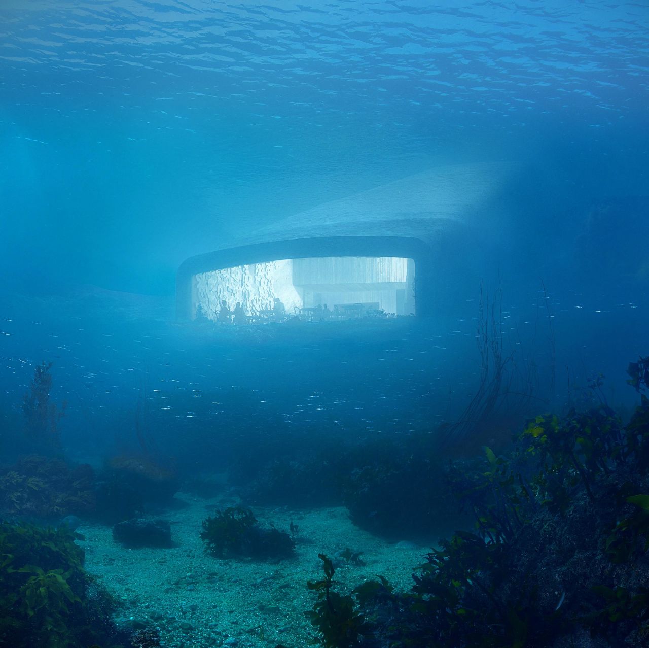 A large, 36-foot wide acrylic glass window will offer underwater views to about 35-40 seating guests.