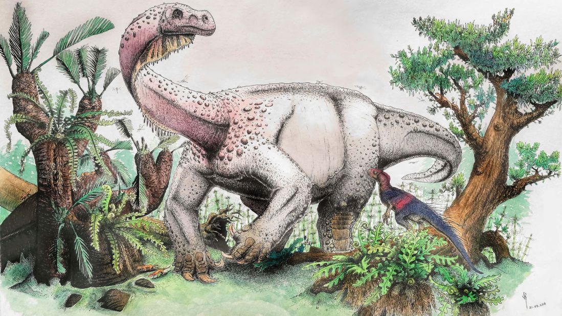 This artist's illustration shows the newly discovered dinosaur species Ledumahadi mafube foraging in the Early Jurassic of South Africa. Heterodontosaurus,another South African dinosaur, can also be seen in the foreground.