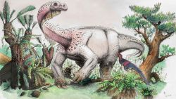 This is an artist's reconstruction of Ledumahadi mafube foraging in the Early Jurassic of South Africa. In the foreground, Heterodontosaurus (another South African dinosaur). CREDIT: Viktor Radermacher/University of the Witwatersrand