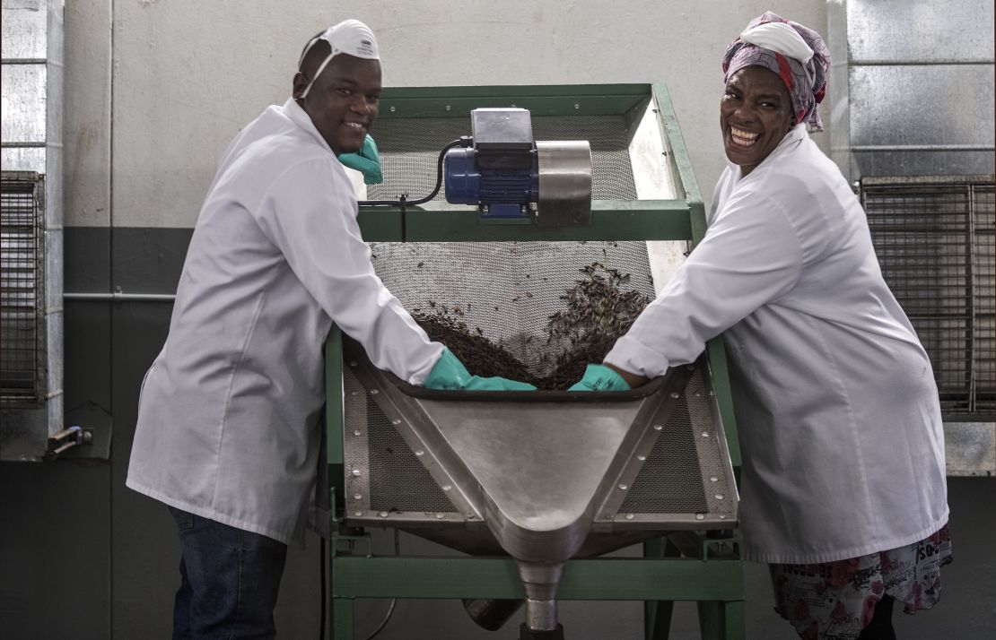 Staff members at an AgriProtein factory. The company has two facilities in South Africa that hold a total of more than 16 billion flies.
