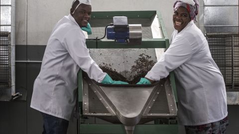 Staff members at an AgriProtein factory. The company has two facilities in South Africa that hold a total of more than 16 billion flies.