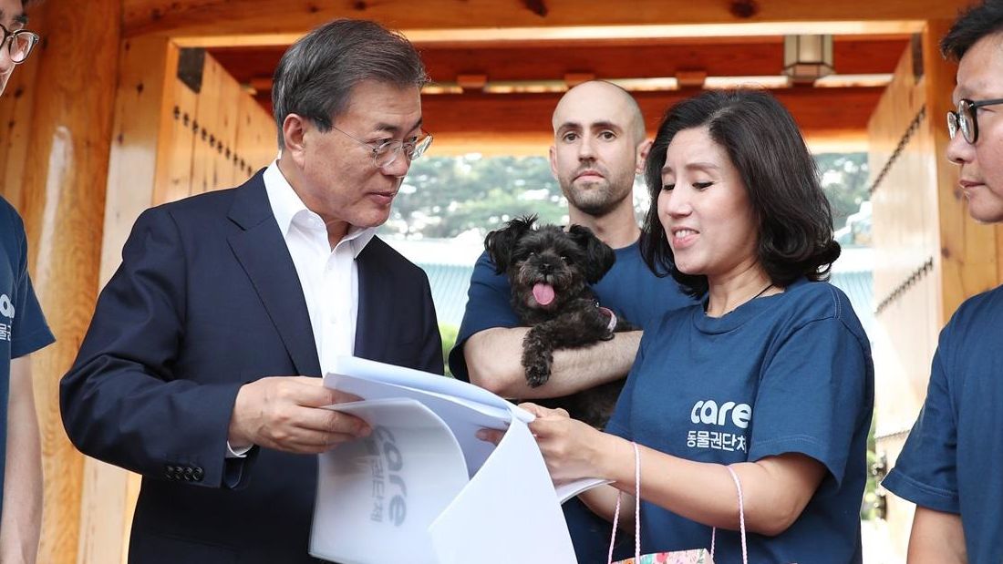 South Korean President Moon Jae-in goes over paperwork to adopt a new "first dog," Tory, from Care Korea in July 2017.