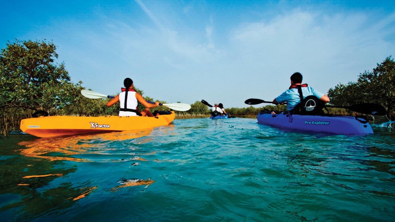 Kayaking around Abu Dhabi is a good way to spot wildlife.