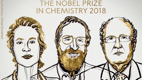 An illustration of the 2018 Nobel Prize in Chemistry laureates.
