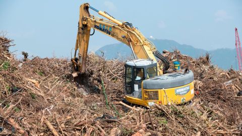 A crane rummages through felled trees at Kai Tak.